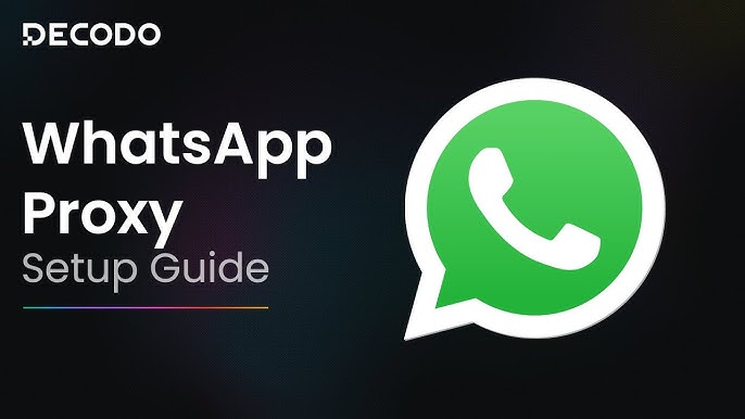 WhatsApp official rules explained: How to correctly use group messaging apps